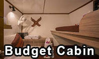 Budget Cabin